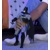 Batman Sada 3 Figúrok 30 cm Superman Darkseid DC od Spin Master