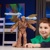 Groot Blast 'N Battle Figúrka 30 cm Strážcovia Galaxie Hasbro