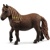 Schleich Tréning agility pre poníky 42481