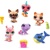 Bandai Littlest Pet Shop Sada 6 figúrok s hotelom pre zvieratá Hotel